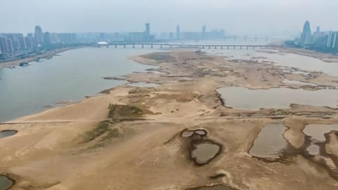 新闻手语20210206