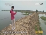 远方的家 《远方的家》 20150124 北纬30°·中国行（37）黄石：半城山色半城湖