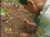 新闻袋袋裤 《新闻袋袋裤》 20140929