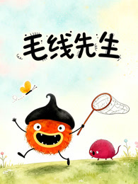 毛线先生