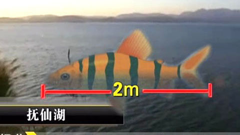 经典传奇 水下古城之谜