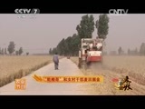 致富经 《致富经》 20150630 麦收故事会：“轮椅哥”和女村干部麦田掘金