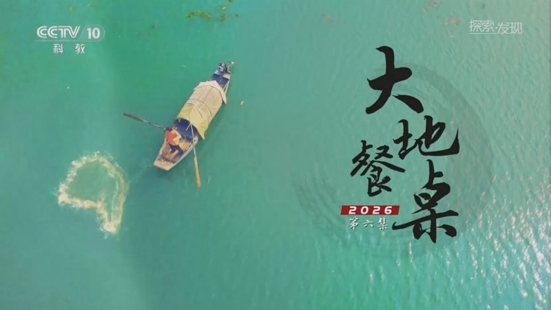 《探索·发现》 20260217 大地餐桌2026（6）