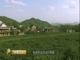 消费主张 《消费主张》 20170517 茶叶消费市场调查：西湖龙井