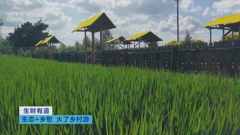 生财有道 《生财有道》 20220822 生态+乡愁 火了乡村游