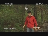 生财有道 《生财有道》 20150303 松鼠带来的财富