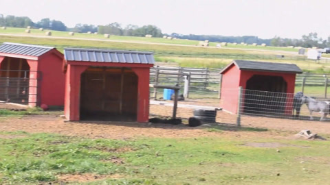 琳娜和朋友在农场