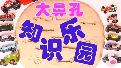 大鼻孔知识乐园