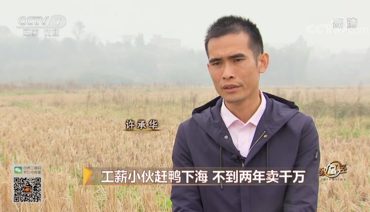 致富经 [致富经]工薪小伙赶鸭下海 不到两年卖千万 20181207