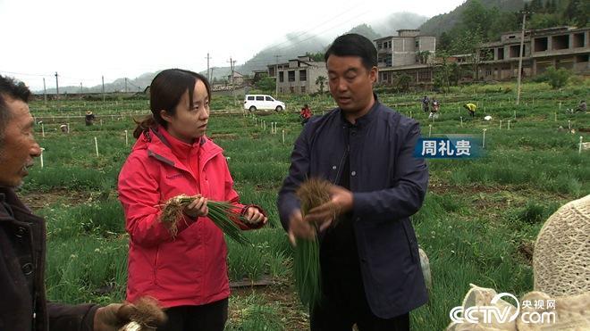 致富经 [致富经]10天要拔500万 财富追他只靠一句话 20180706