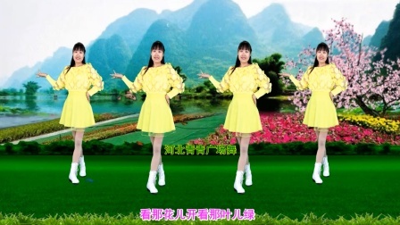 甜蜜情歌DJ广场舞《花开的时候》32步