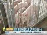 中国财经报道 《中国财经报道》 20180809 10:00