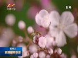 新疆新闻联播 《新疆新闻联播》 20180530