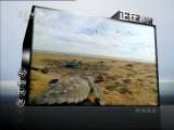 动物世界 动物世界 2011年 第80期