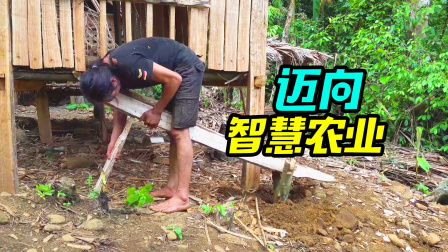 原始丛林人苏门答腊 第二季 独自在荒野生活，流浪荒野也需要专业技能，你能熬几天