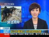 共同关注 共同关注 2010-07-18