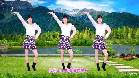 轻快动感广场舞《溜溜的情歌》32步附教学