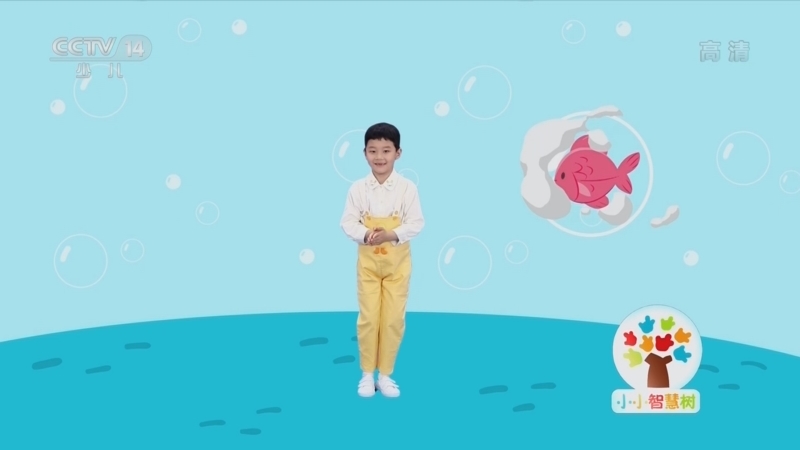 小小智慧树 《小小智慧树》 20220512