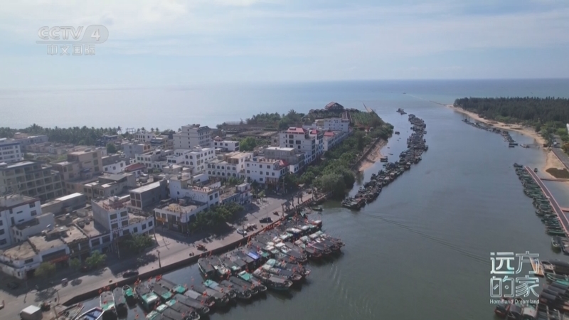 远方的家 《远方的家》 20250324 蔚蓝环抱的家园 魅力海岛 蓝色粮仓