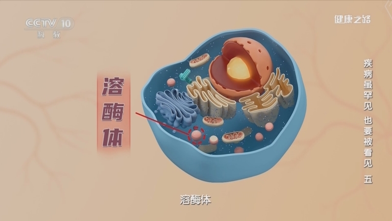 健康之路 《健康之路》 20230226 疾病虽罕见 也要被看见（五）