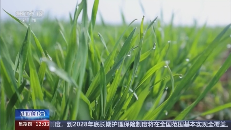 新闻30分 《新闻30分》 20260326