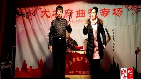 河南坠子 河南坠子 大宋奇冤