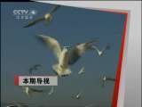 远方的家 体验特色云南（二）