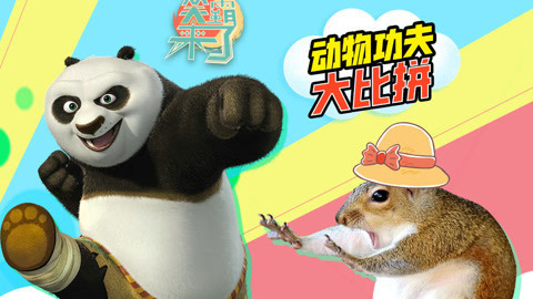 笑霸来了欢畅版 动物中深藏的武林高手