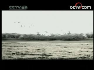 民歌&middot;中国 民歌·中国 2008年 第84期
