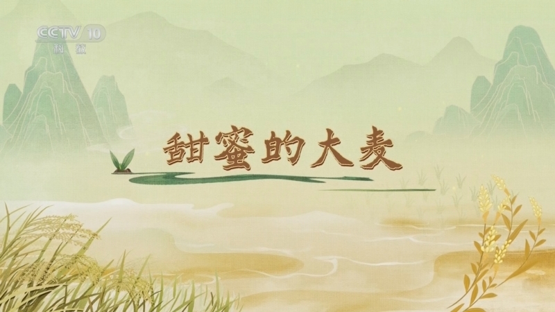 百家讲坛 《百家讲坛》 20250430 食物的历史（第一部） 6 甜蜜的大麦
