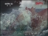 人与自然 《人与自然》 20120111 自然故事——北极的捕食者（下）