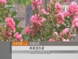 法律讲堂 《法律讲堂（生活版）》 20150927 亲家成仇家