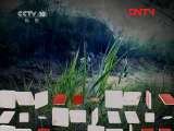 地理中国 《地理中国》 20110929 石龙身世之谜
