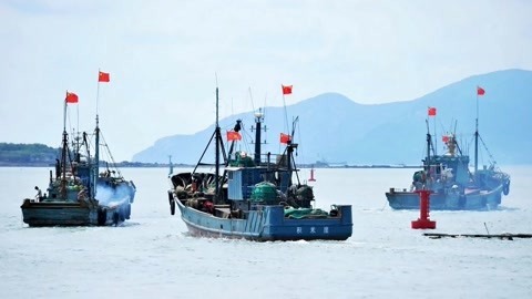 1818黄金眼 1818黄金眼20190906