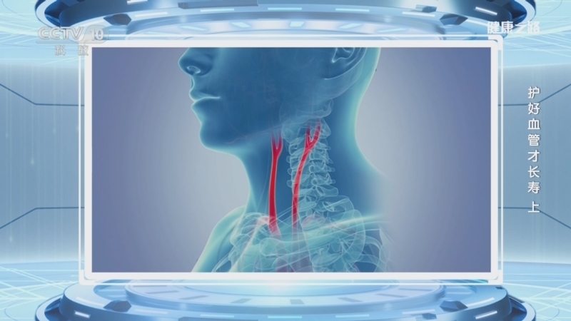 《健康之路》 20260321 护好血管才长寿(上)