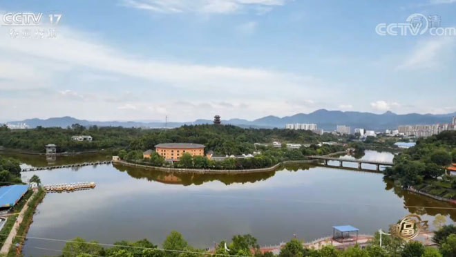 致富经 《致富经》 20200916 石头山上财富来