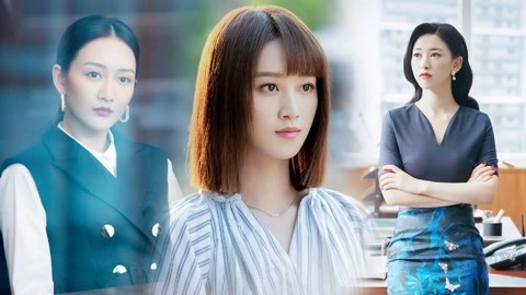 萝莉侃剧 精英律师：罗槟背后的女人团，一个比一个智商高！