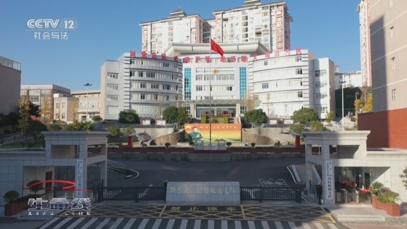 生命线 《生命线》 20240111