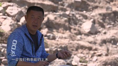 桃花鱼这种名字听起来很美的鱼到底是什么样子的呢？