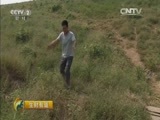 生财有道 《生财有道》 20151116 返乡创业系列：“黑珍珠”带来的财富