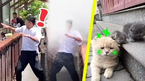 爆笑精选 喵星人绿光闪闪喜当爹，路人围观冲浪变落汤鸡！