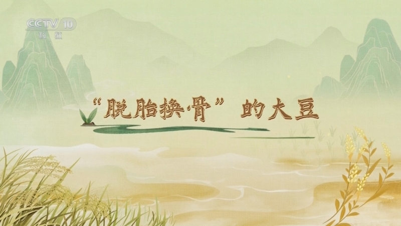 百家讲坛 《百家讲坛》 20250428 食物的历史（第一部） 4 “脱胎换骨”的大豆