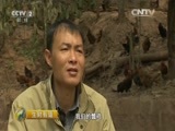 生财有道 《生财有道》 20160510 无尾的瓢鸡有商机