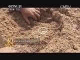 军事纪实 《军事纪实》 20140321 超级女兵 第九集（下）
