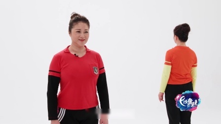 纸飞机-李萍（教学分解）