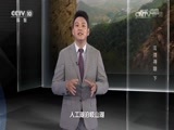 地理中国 《地理中国》 20161011 泜河寻踪（下）