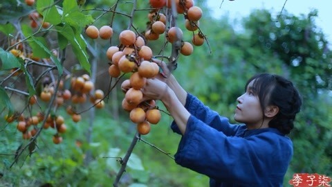 李子柒古香古食 做些吊柿饼尝下丰收的甜