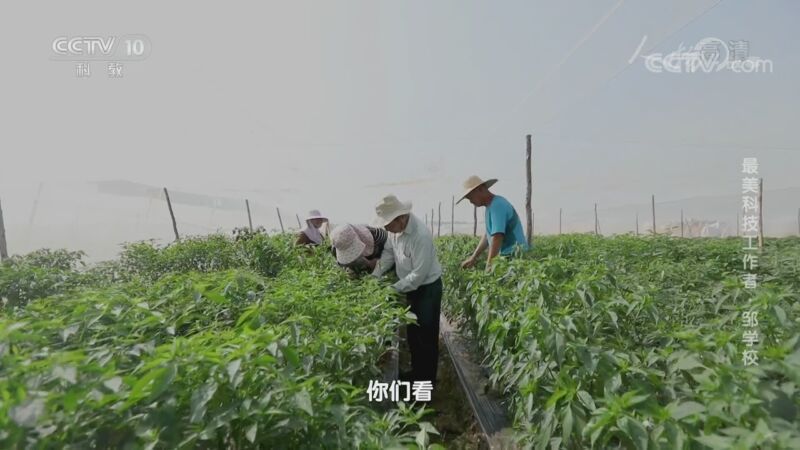 人物&middot;故事 《人物·故事》 20201014 最美科技工作者·邹学校