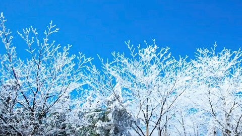 北京新闻20210305
