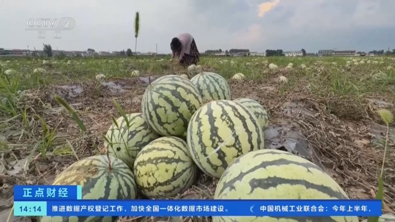 正点财经 《正点财经》 20260806 14:00
